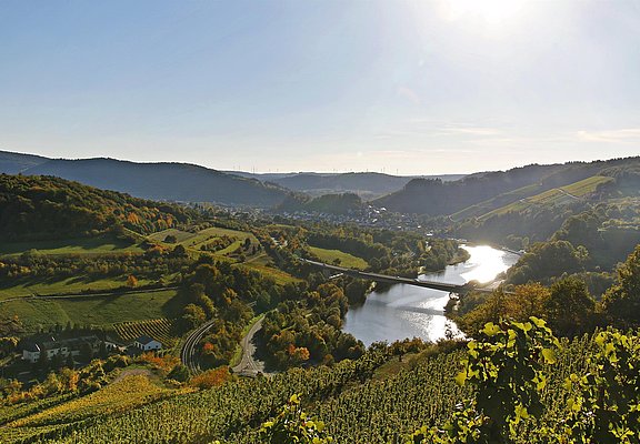 Rieslingtour (1)