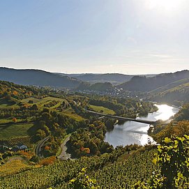 Rieslingtour (1)