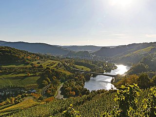 Rieslingtour (1)