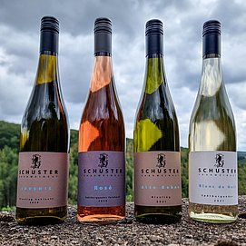 Weingut Schuster Oberemmel (02)