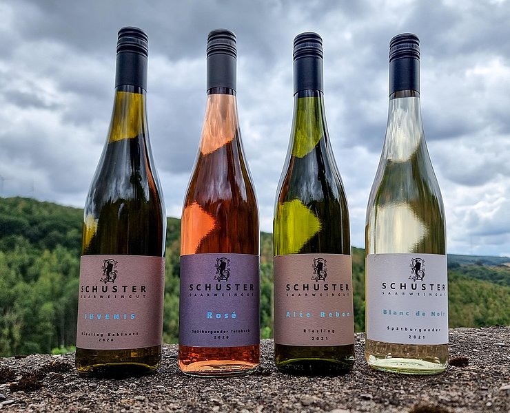 Weingut Schuster Oberemmel (02)