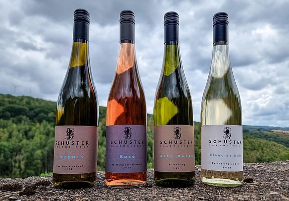 Weingut Schuster Oberemmel (02)