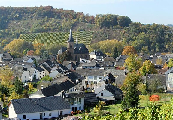 Wiltingen Panoramablick