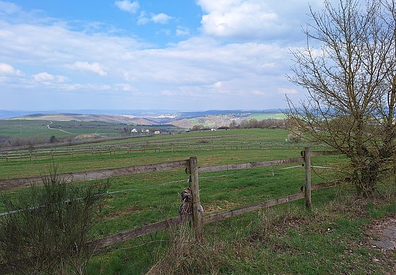 Pellingen (2)