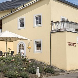 Schloss Thorn Palzem (06)