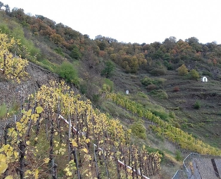Auf dem Kreuzweg steil bergauf zum Bleidenberg