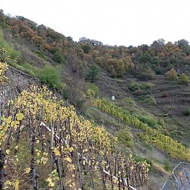 Auf dem Kreuzweg steil bergauf zum Bleidenberg