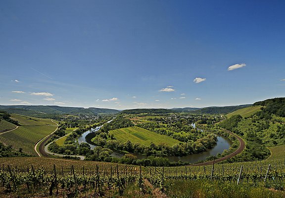 Wiltinger Saarbogen