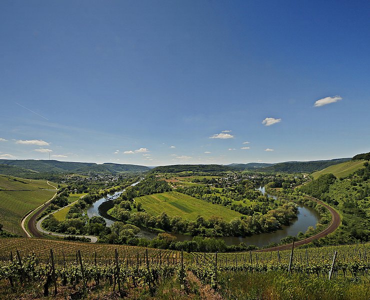 Wiltinger Saarbogen
