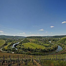 Wiltinger Saarbogen