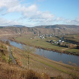 Pündericher Hangviadukt, Prinzenkopf und Marienburg vom Reiler Hals