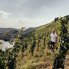 Weingut Peter Lauer (1)