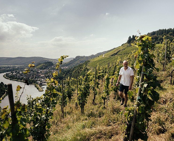Weingut Peter Lauer (1)