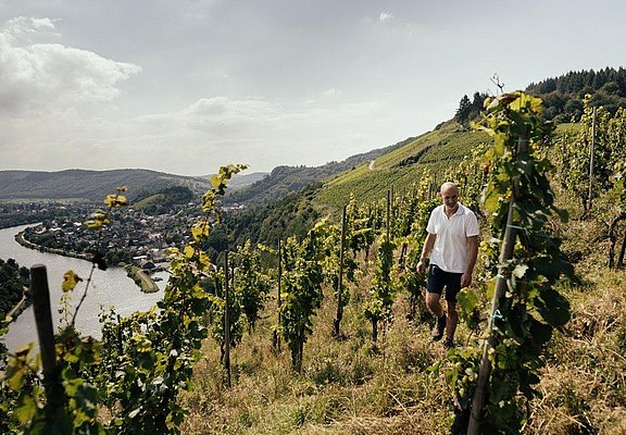 Weingut Peter Lauer (1)