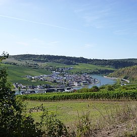 Blick vom Felsenweg auf die luxemburgische Moselseite