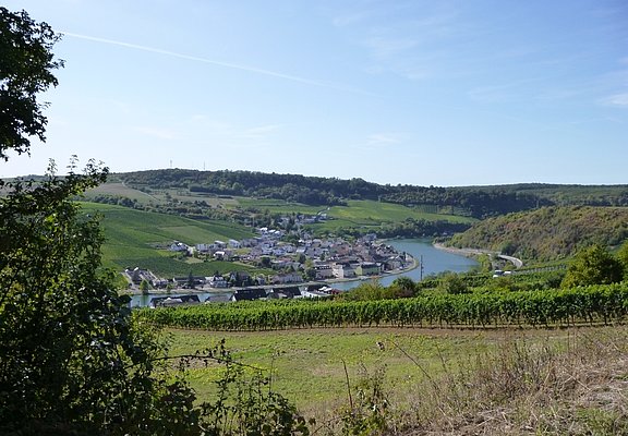 Blick vom Felsenweg auf die luxemburgische Moselseite