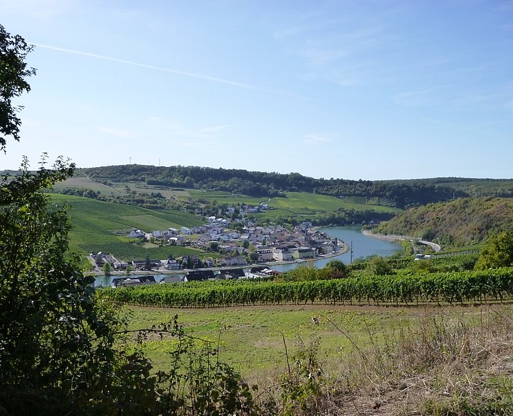 Blick vom Felsenweg auf die luxemburgische Moselseite