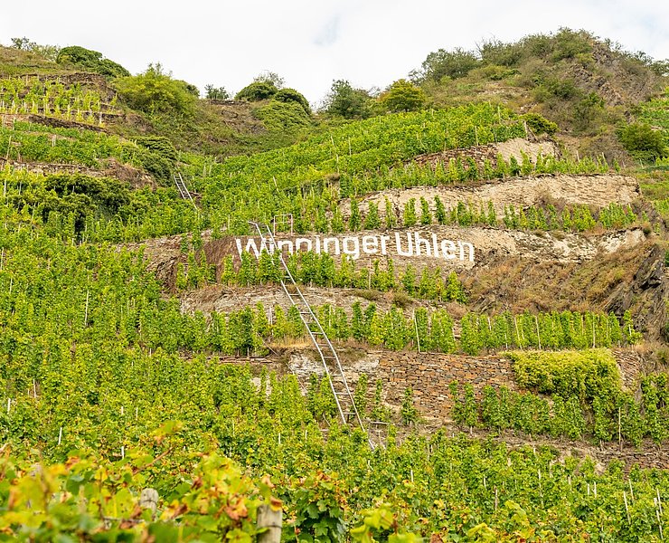 Weinberge Winningen