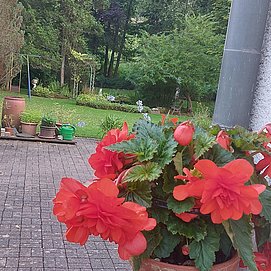 Haus Sonnenschein Trassem (20)
