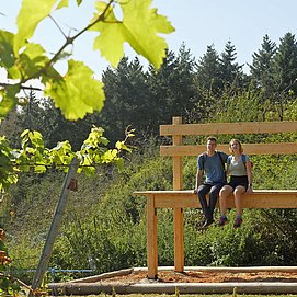 Moselsteig Seitensprung Konzer Höhenrunde (1)