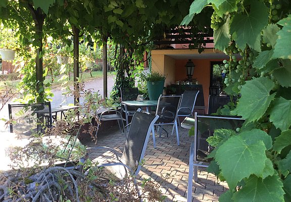Temmelser Elblinghof (3)