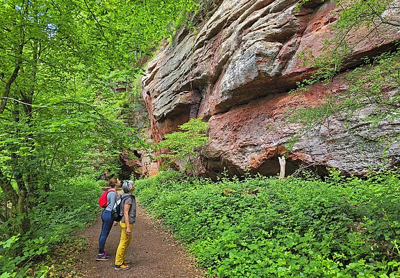 Kollesleuker Schweiz (1)