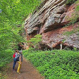 Kollesleuker Schweiz (1)