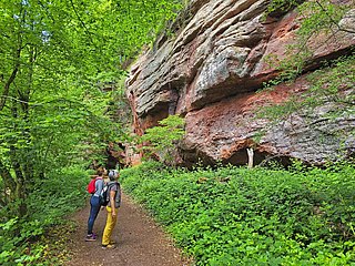 Kollesleuker Schweiz (1)