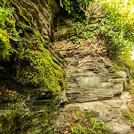 Felsen am Collis-Steilpfad