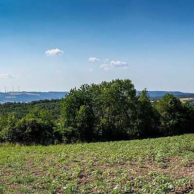 Foto: Panoramablick