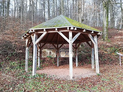 Informationspavillon Lebensraum Wald (1) Informationspavillon Lebensraum Wald (1)
