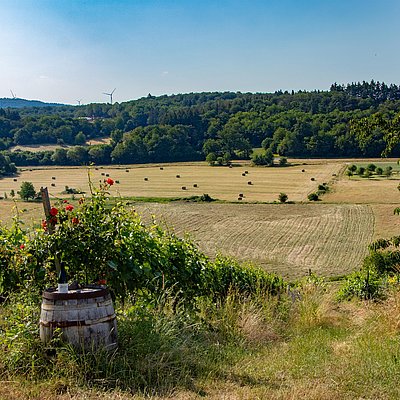 Foto: Konzer Höhenrunde