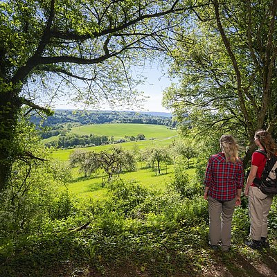 Foto: Aussichtspunkt Talblick (01)