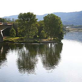 Saarmündung Konz (2)