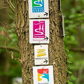 Wegeschilderschilder Moselsteig, Panoramaweg Perl, Moselle Trail und Saar-Hunsrück Steig