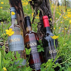 Weingut Rausch Konz-Obermennig (2)