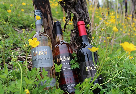 Weingut Rausch Konz-Obermennig (2)
