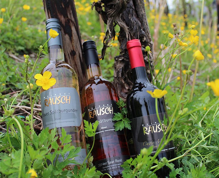 Weingut Rausch Konz-Obermennig (2)
