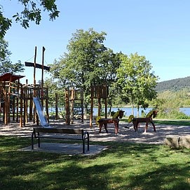 Am Moselufer Konz (3)