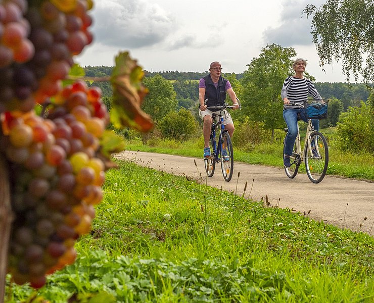 Radfahrer (2)