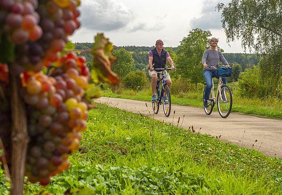 Radfahrer (2)