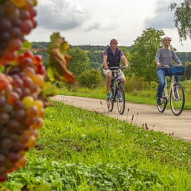 Radfahrer (2)