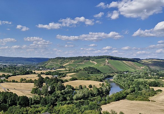 Blick auf Kanzem (2)