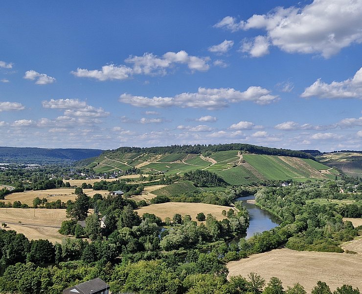 Blick auf Kanzem (2)
