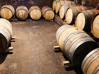 Weingut Rinke GbR (1)