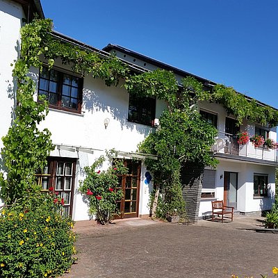 Foto: Weingut Raevenhof Ayl (02)