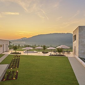 Weingut Van Volxem (2)