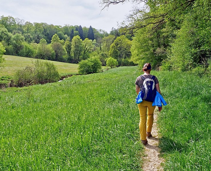 Wanderer (2)