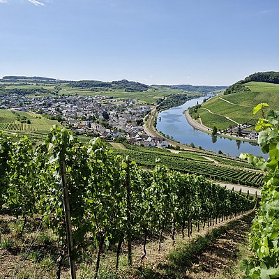 Foto: Blick auf Nittel (2)