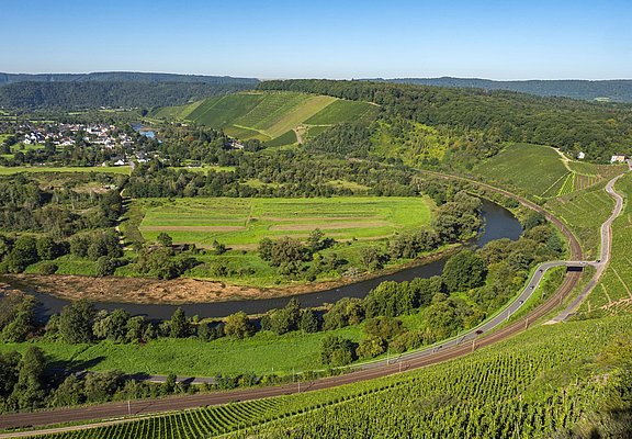 Galgenberg Wiltingen (2)